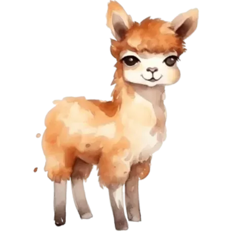 home 3 Alpaca