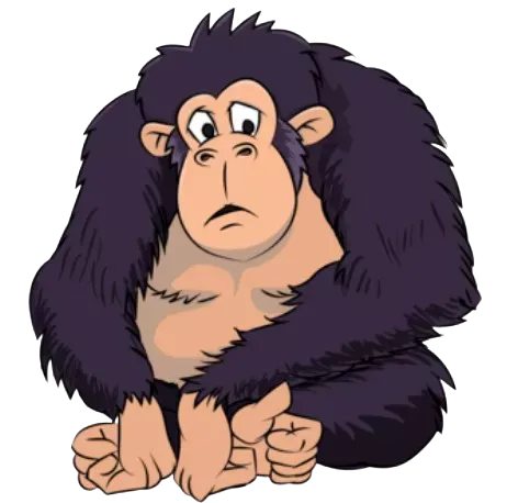 home 4 Ape