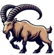 home 37 Ibex
