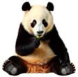 home 38 Indri