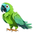 home 56 Parrot