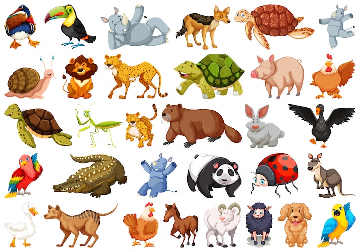 home 77 animals