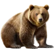 home 6 Baer