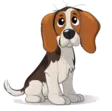 home 19 Dog