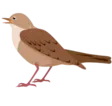 home 50 Nightingale