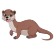 home 52 Otter