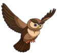 home 53 Owl