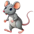 home 62 Rat