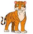 home 70 Tiger