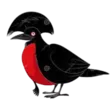 home 71 Umbrella-Bird