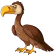 home 72 Vulture