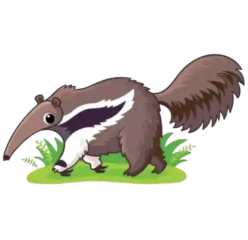 Anteater